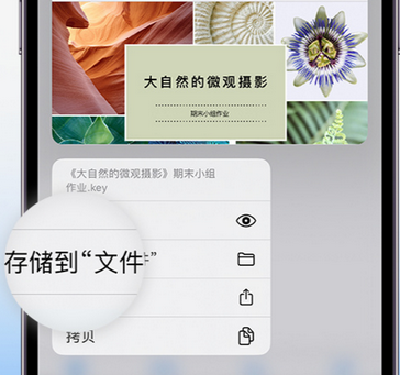 华阴apple维修中心分享iPhone文件应用中存储和找到下载文件