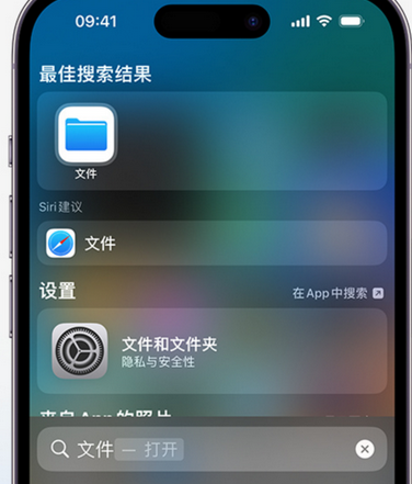 华阴apple维修中心分享iPhone文件应用中存储和找到下载文件