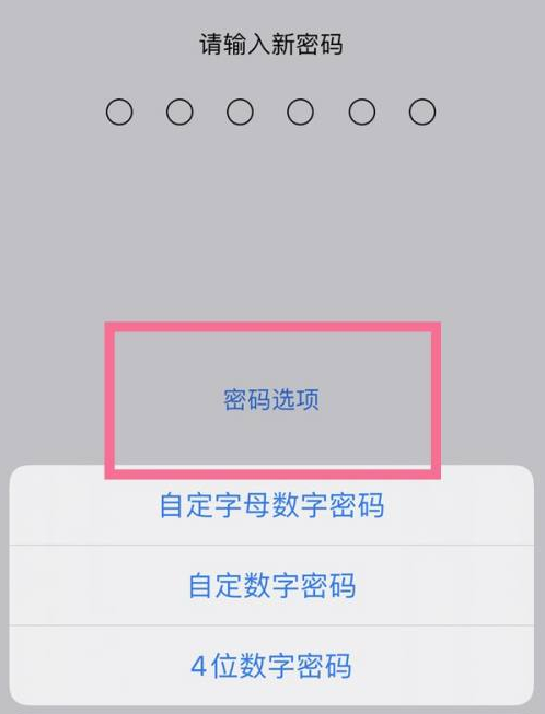 华阴苹果14维修分享iPhone 14plus设置密码的方法 