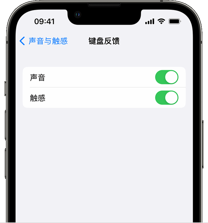 华阴苹果14维修分享iPhone 14 系列机型如何开启键盘声音或触感反馈 