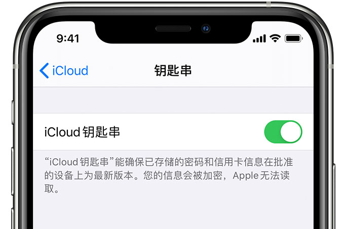 华阴苹果手机维修分享在 iPhone 上开启 iCloud 钥匙串之后会储存哪些信息 