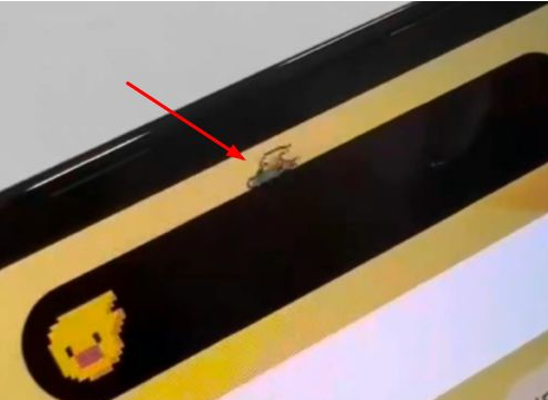 华阴苹果14维修分享iPhone 14 Pro Max灵动岛怎么养宠物 