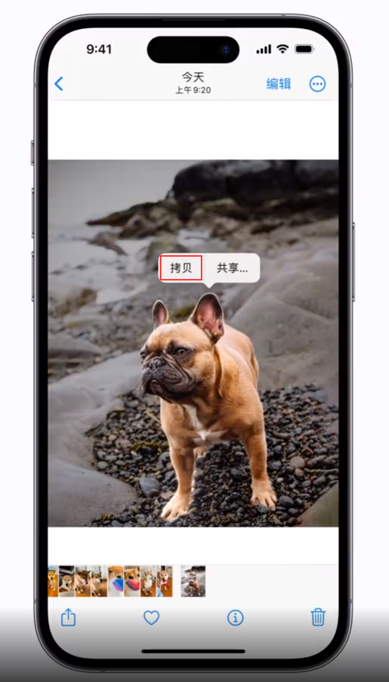 华阴苹果手机维修分享 iOS 16 自带一键抠图功能 
