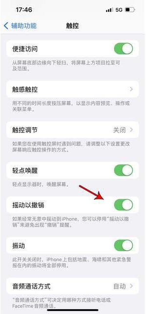 华阴苹果手机维修分享iPhone手机如何设置摇一摇删除文字 