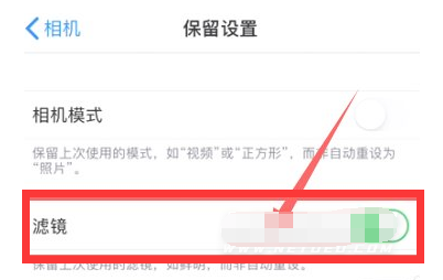华阴苹果13维修分享iPhone13拍照有绿点是怎么回事 