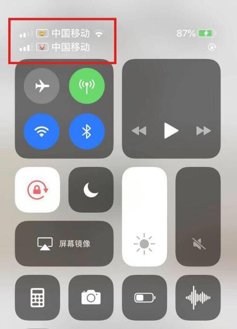 华阴苹果手机维修分享为 iPhone 12 双卡设置标签 