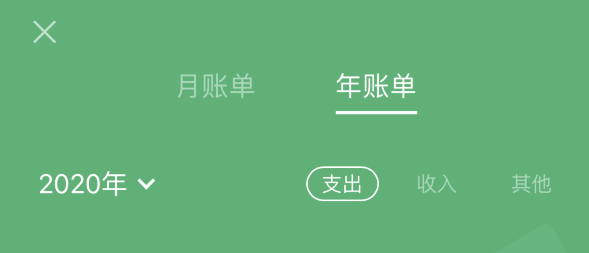 华阴苹果手机维修分享如何在 iPhone 上查看支付宝和微信年支出账单 